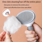 Dog & Cat Hair Brush Grooming Accessories
