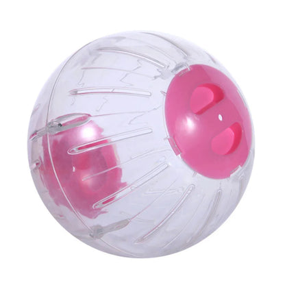 Outdoor Sport Ball for Small Pets