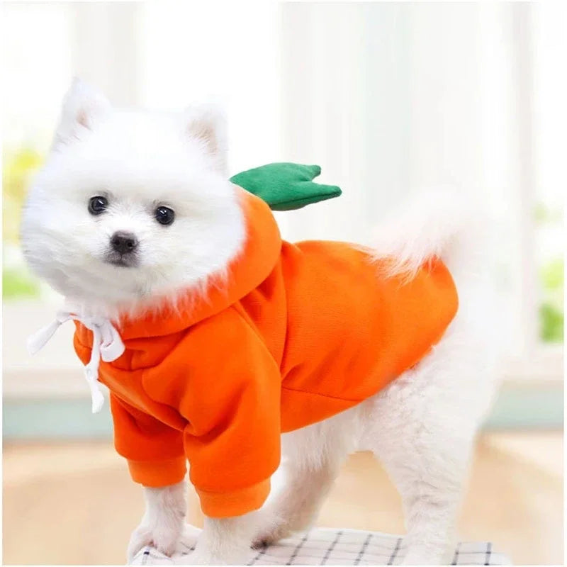 Cute Fruit Dog Hoodie Warm Fleece Pet Clothing for Small Dogs Puppy Cat French Chihuahua Jacket Coat Autumn/Winter Pet Clothes