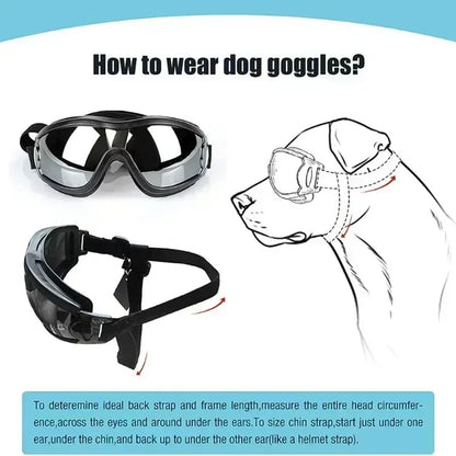 Dog sunglass Eye-wear Protection