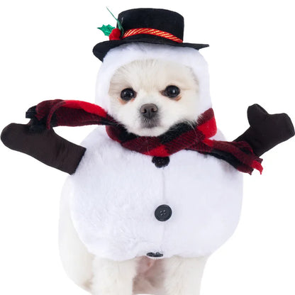 Halloween Dagger Pet Transformation Dress with Funny Knife