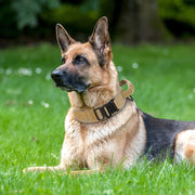 Military Tactical Pet Training Collars With Handle Strong For Medium Large Dogs