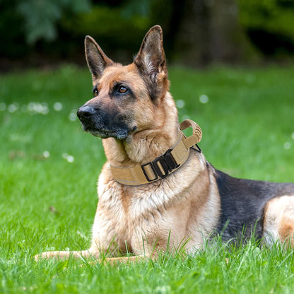 Military Tactical Pet Training Collars With Handle Strong For Medium Large Dogs