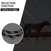 Dog Leash with Soft Padded Handle for Small to Large Dogs