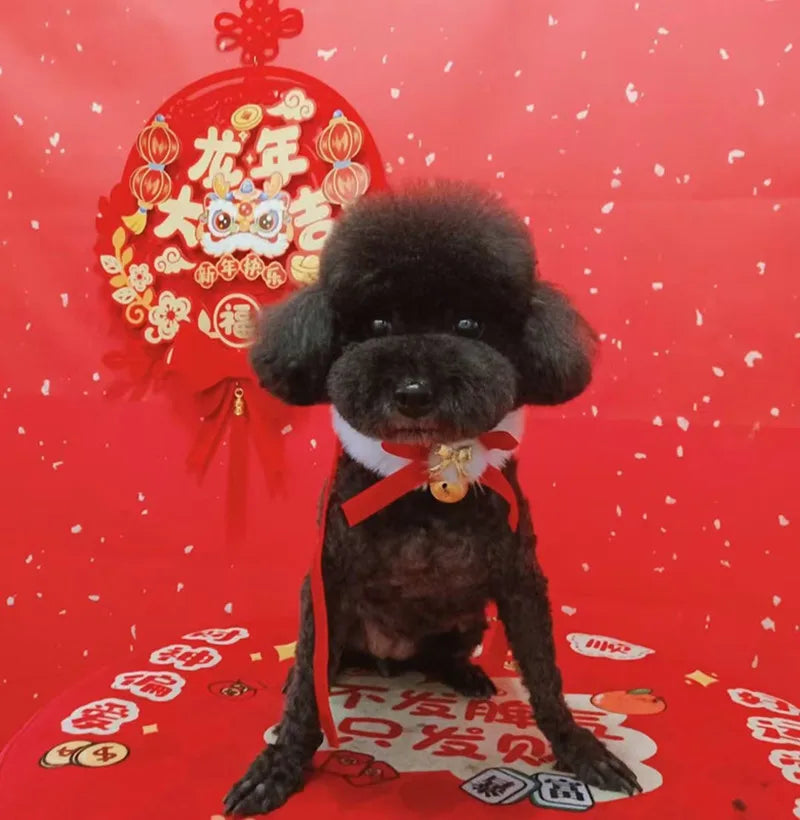 Christmas Theme Cat Collar with Scarf Bow Bell - Easy to Clean Warm Pet Accessory for Cats And Dogs