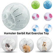 Outdoor Sport Ball for Small Pets