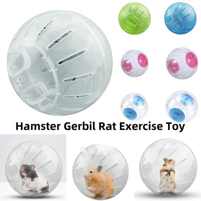Outdoor Sport Ball for Small Pets
