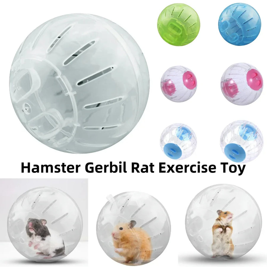 Outdoor Sport Ball for Small Pets