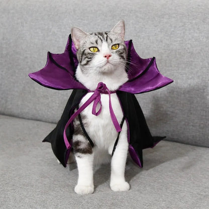 Halloween Bat Transformation Pet Costume