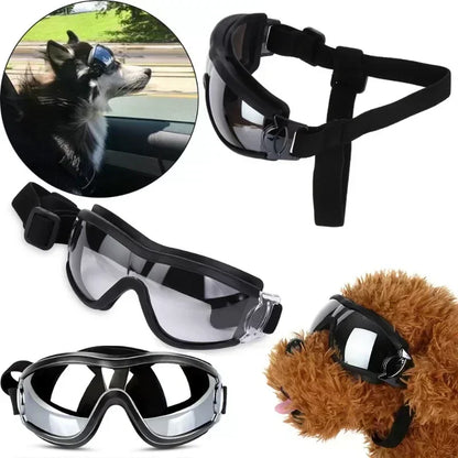 Dog sunglass Eye-wear Protection