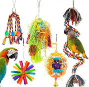 Colorful Bird Toy Set for Small to Medium Parrots