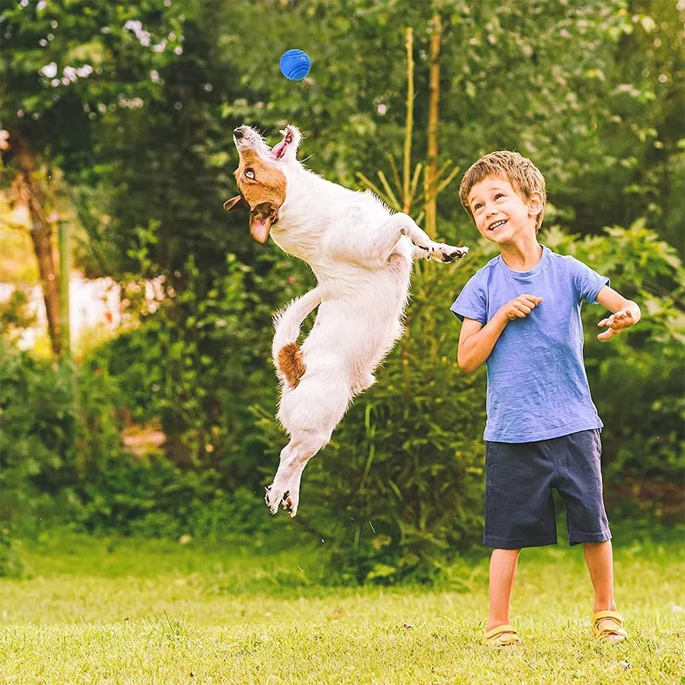 Bouncy Rubber Solid Ball Dog Toy for Small Medium Large Dogs Puppy - Outdoor Throwing Training Chew Toy
