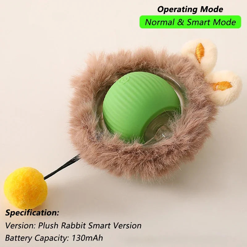 Indoor Interactive Birds Toy for Cat