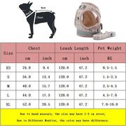 Reflective Dog Harness & Leash Set for Small Dogs & Cats