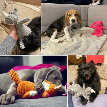 Bite Resistant squeaky Dog Toys