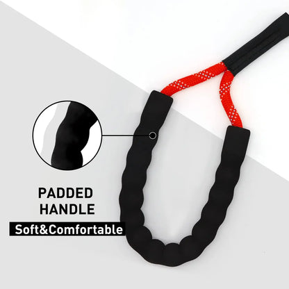 Leash with Soft Padded Handle Suitable for Small to Large Dogs,