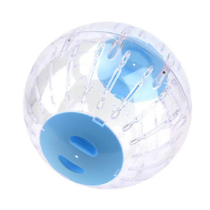 Outdoor Sport Ball for Small Pets