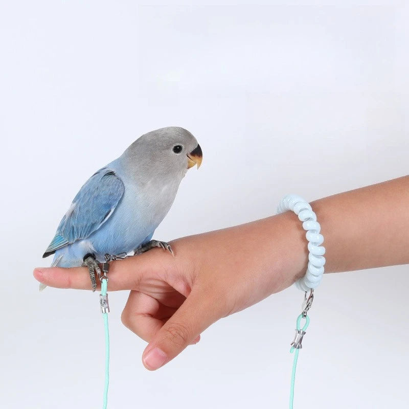 Parrot Bird Flying Training Leash Ultra-light Flexible Rope Anti-bite Leg Ring Harness Outdoor Macaw Cockatiel Starling 앵무새 장난감