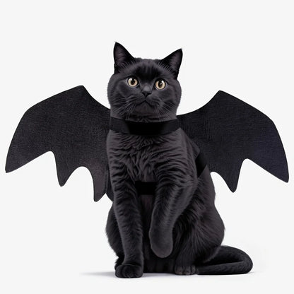 Black Cat Bat Wings Costume Halloween