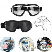 Dog Sunglasses & Eye Protection Goggles