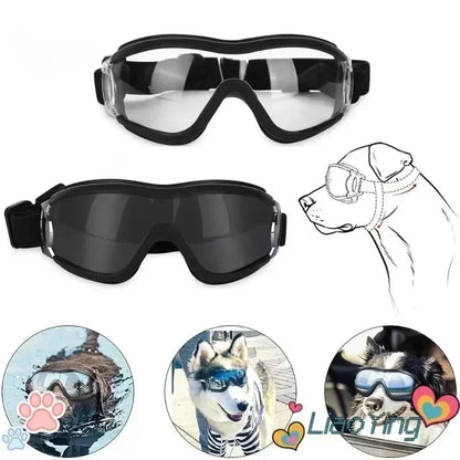 Dog sunglass Eye-wear Protection