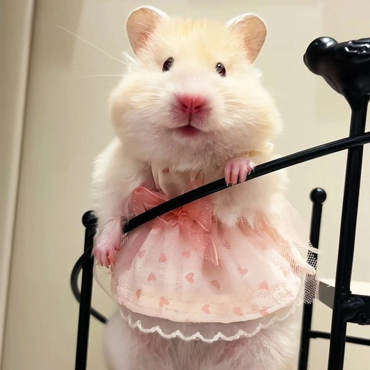 Lovely Handmade Mini Hamster Dress Princess Skirt Bow Coat for Small Pets Soft Coat for Ferrets Hamsters Guinea Pigs