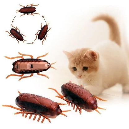 Funny Simulation of Cockroaches for Pets