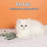 Electric Robotic Mouse a special Toy for Cats
