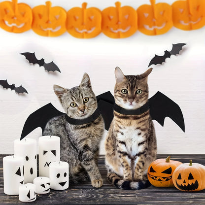 Black Cat Bat Wings Costume Halloween
