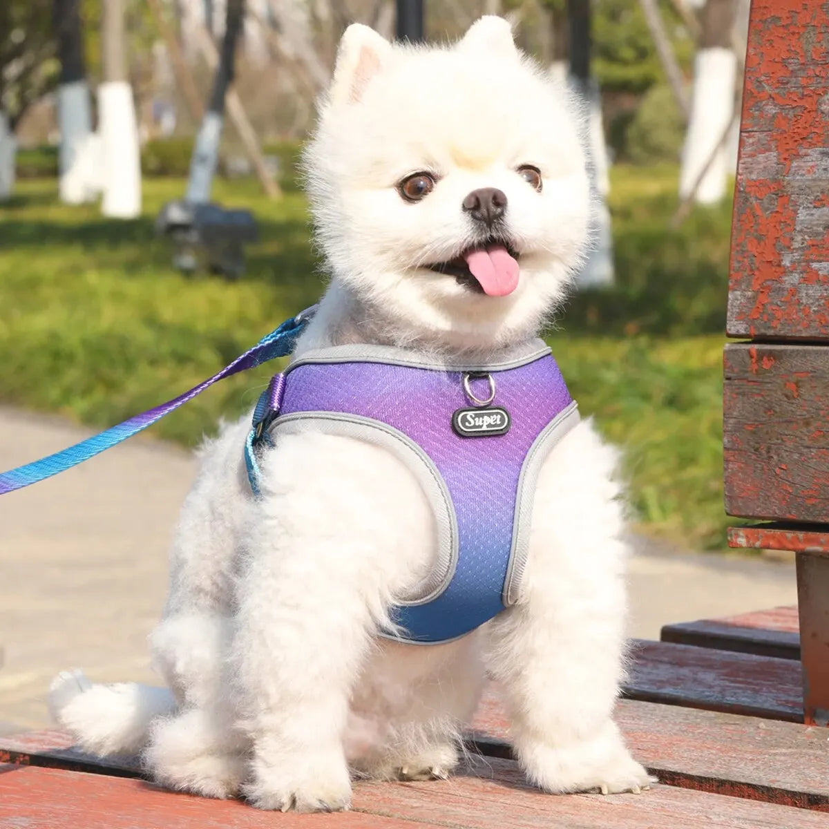 Supet Pet Step-in Dog Harness