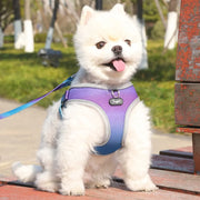 Step-In Dog Harness