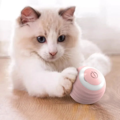 Rechargeable Smart Rolling Ball Toys for Cat