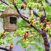 Handwoven Straw Bird Nest for Parrots | Outdoor Garden Hanging