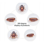 Funny Simulation of Cockroaches for Pets