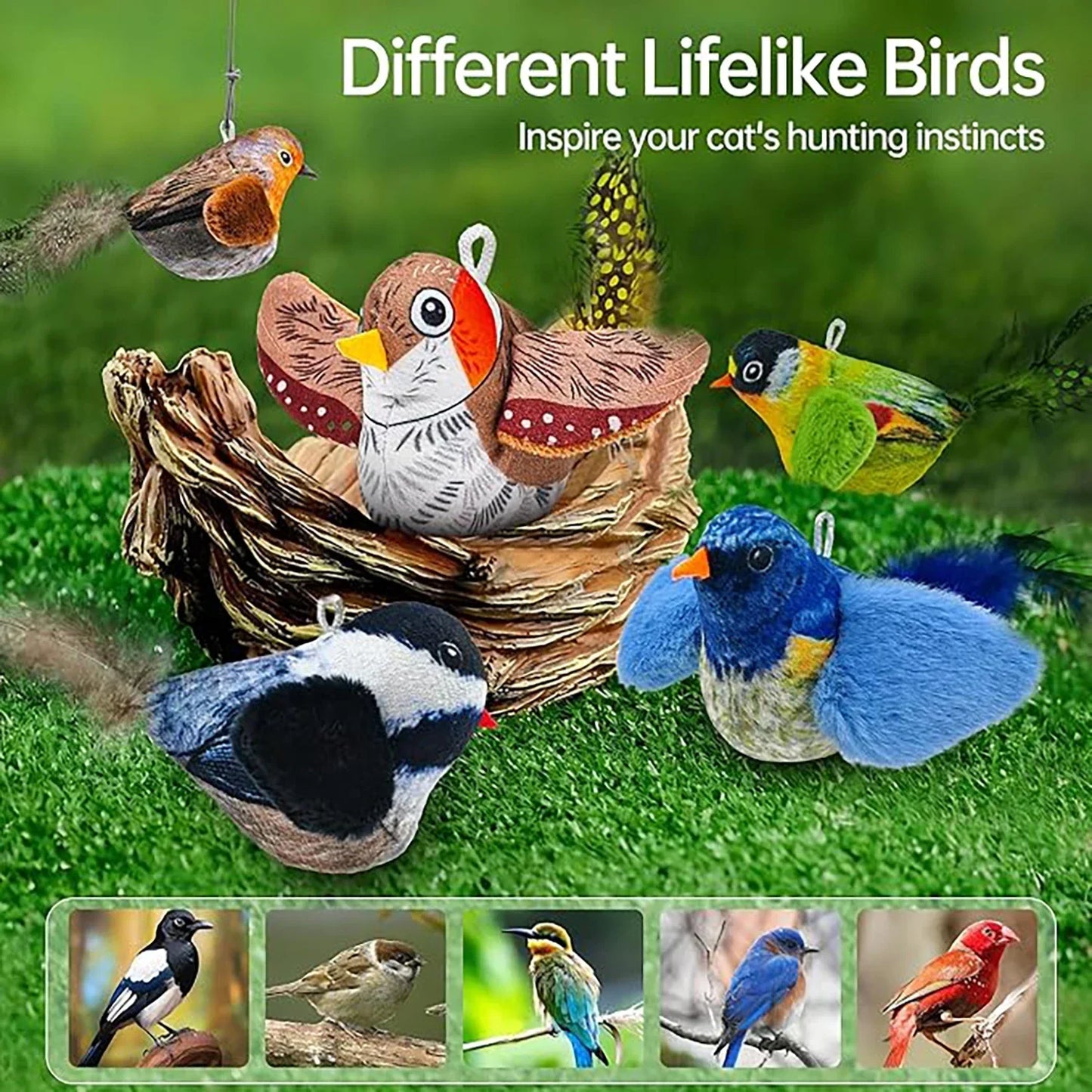 Indoor Interactive Birds Toy for Cat