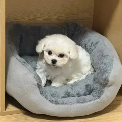 Soft Warm cushion beds for dogs and cats