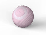 Rechargeable Smart Rolling Ball Toys for Cat