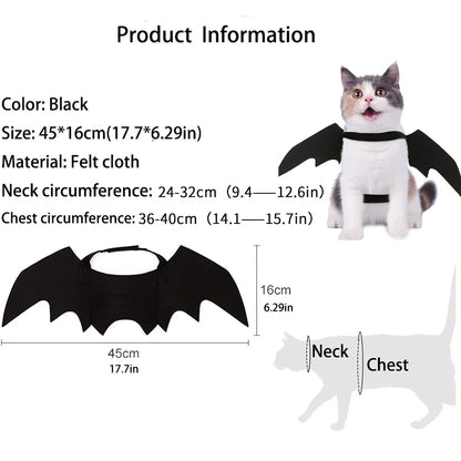 Black Cat Bat Wings Costume Halloween