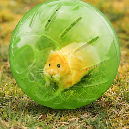 Outdoor Sport Ball for Small Pets