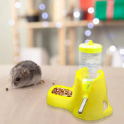 Automatic Food Dispenser for Guinea Pigs & Small Pets