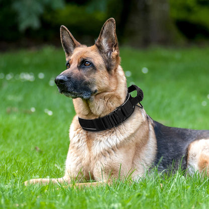 Military Tactical Pet Training Collars With Handle Strong For Medium Large Dogs