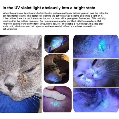 365 UV Veterinary Wood Lamp Pet Fungus Detection