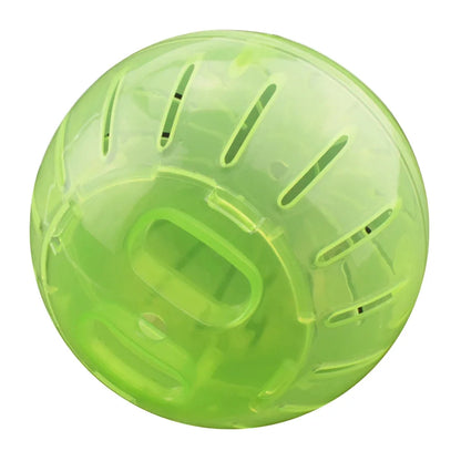 Outdoor Sport Ball for Small Pets