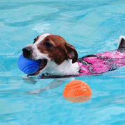 Bouncy Rubber Solid Ball Dog Toy for Small/Large Dogs