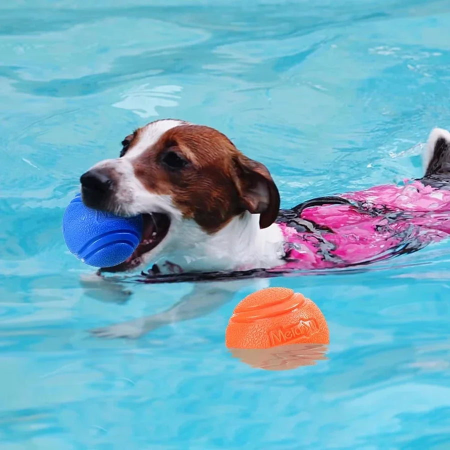 Bouncy Rubber Solid Ball Dog Toy for Small/Large Dogs