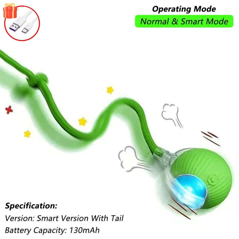 Indoor Interactive Birds Toy for Cat