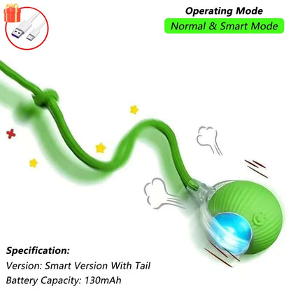 Indoor Interactive Birds Toy for Cat