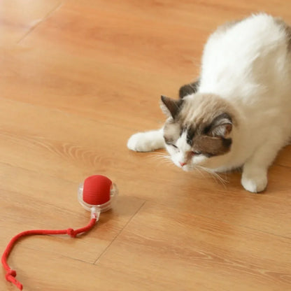 Rechargeable Smart Rolling Ball Toys for Cat