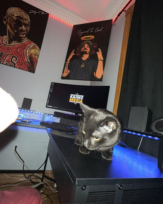 Kaimz Media